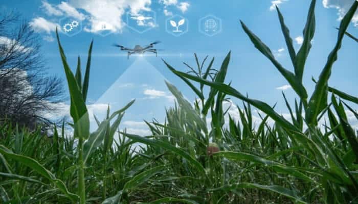 How Drones Are Used in Agriculture: Transforming Modern Farming Practices - robodronetech - RoboDroneTech How Drones Are Used in Agriculture: A drone flying over crops with data analysis icons, assisting in precision farming and crop monitoring.