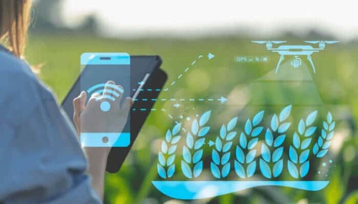 How Drones Are Used in Agriculture: Transforming Modern Farming Practices - robodronetech - RoboDroneTech How Drones Are Used in Agriculture: A farmer using a tablet to control a drone for crop monitoring, with data visualization on the screen.