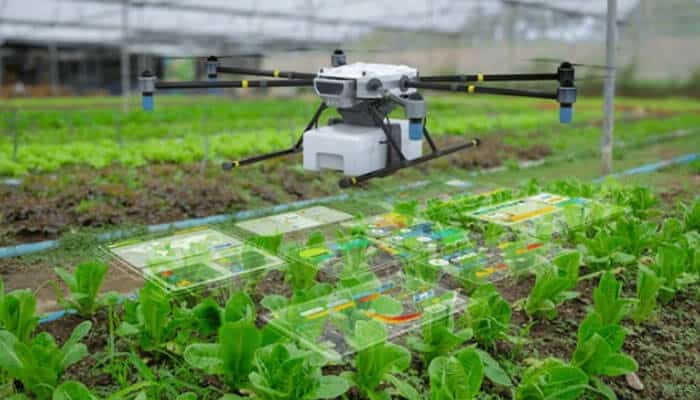 How Drones Enhance the Importance of Organic Farming in Modern Agriculture - robodronetech - RoboDroneTech Organic Farming: A drone flying over lettuce crops, using advanced technology to monitor plant health and support sustainable farming practices.